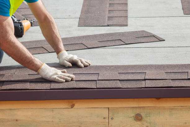 Best Metal Roofing Installation  in Nixa, MO